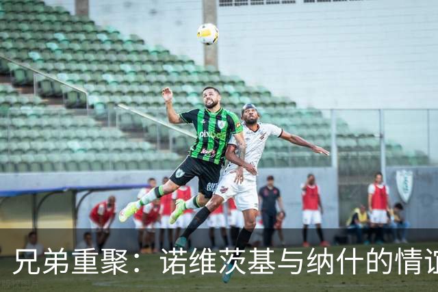 兄弟重聚：诺维茨基与纳什的情谊回暖记